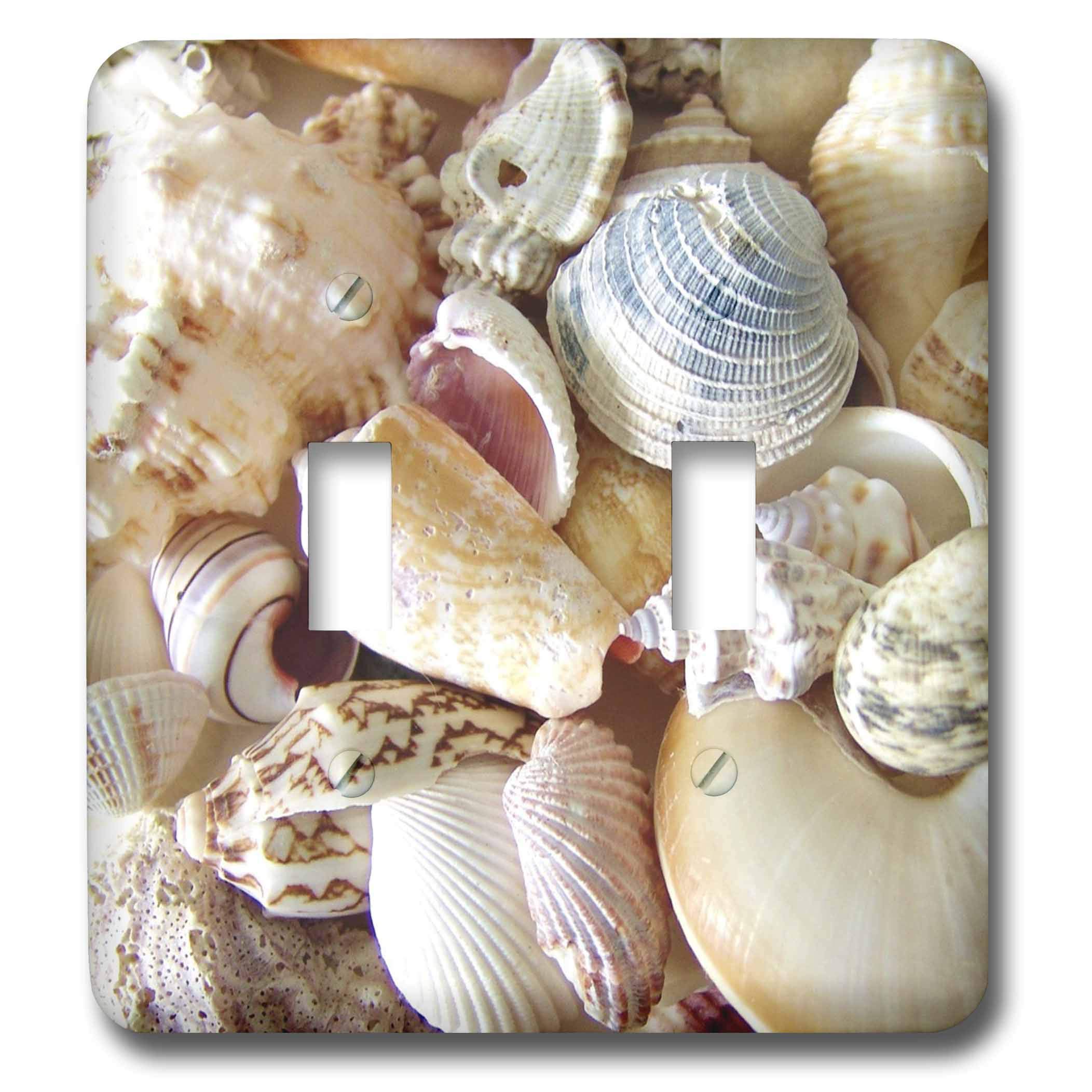 Interruptor doble decorativo de conchas marinas 3dRose lsp_40853_2 Florida Shells I