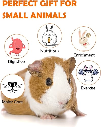 Miniatura 4 de Sofier Hámster, conejillo de indias juguetes accesorios naturales masticables para dientes conejo conejo rata chinchilla escondite bola de madera