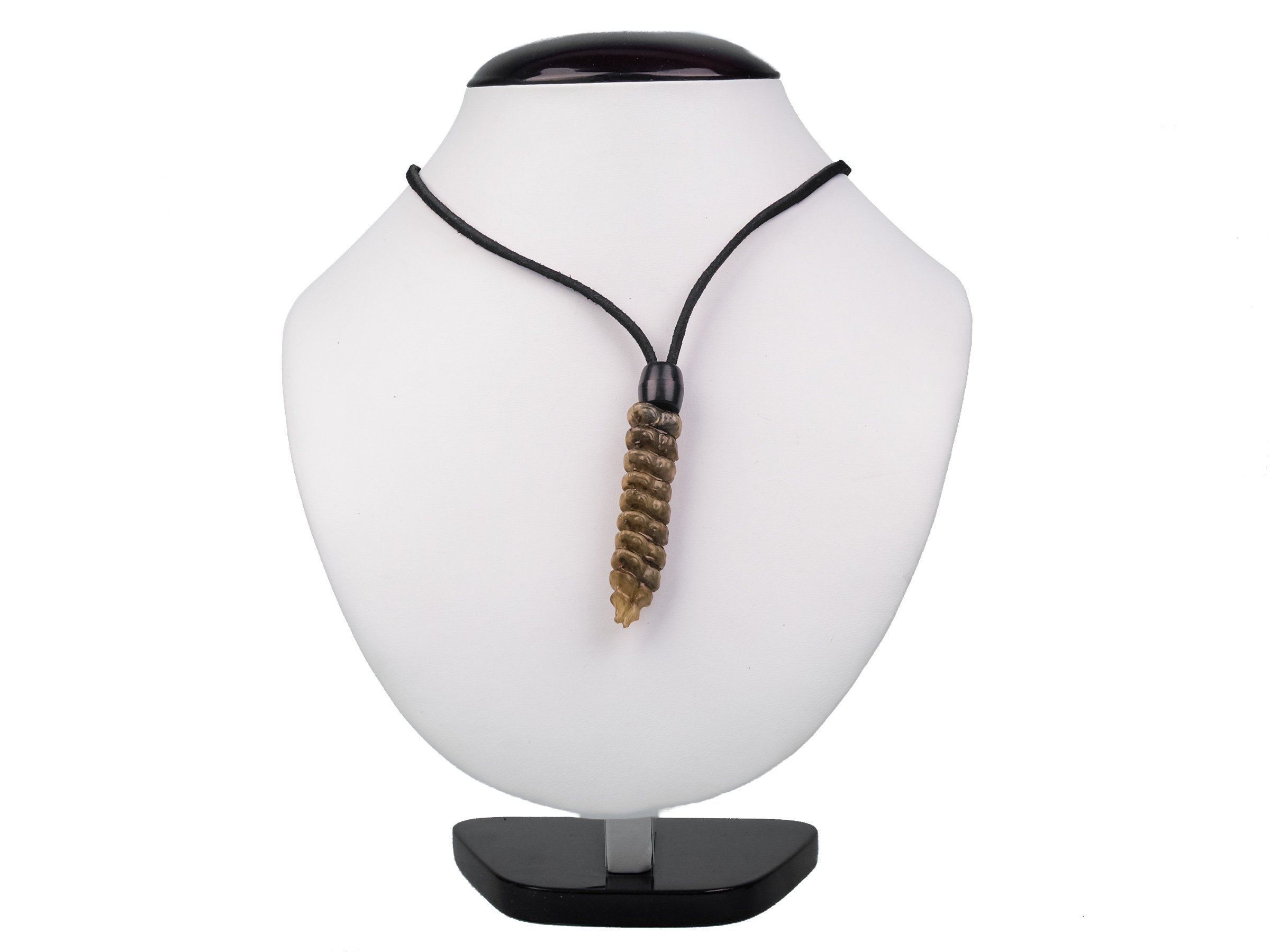 Chichester Inc Real Rattlesnake Rattle Necklace (AZ-598-J30)