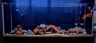 Review Image by Gnemok Yaj Gnemok Yaj