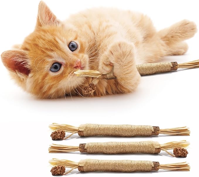 XGXN Cat Toy with Silvervine for Cats, Silvervine Sticks