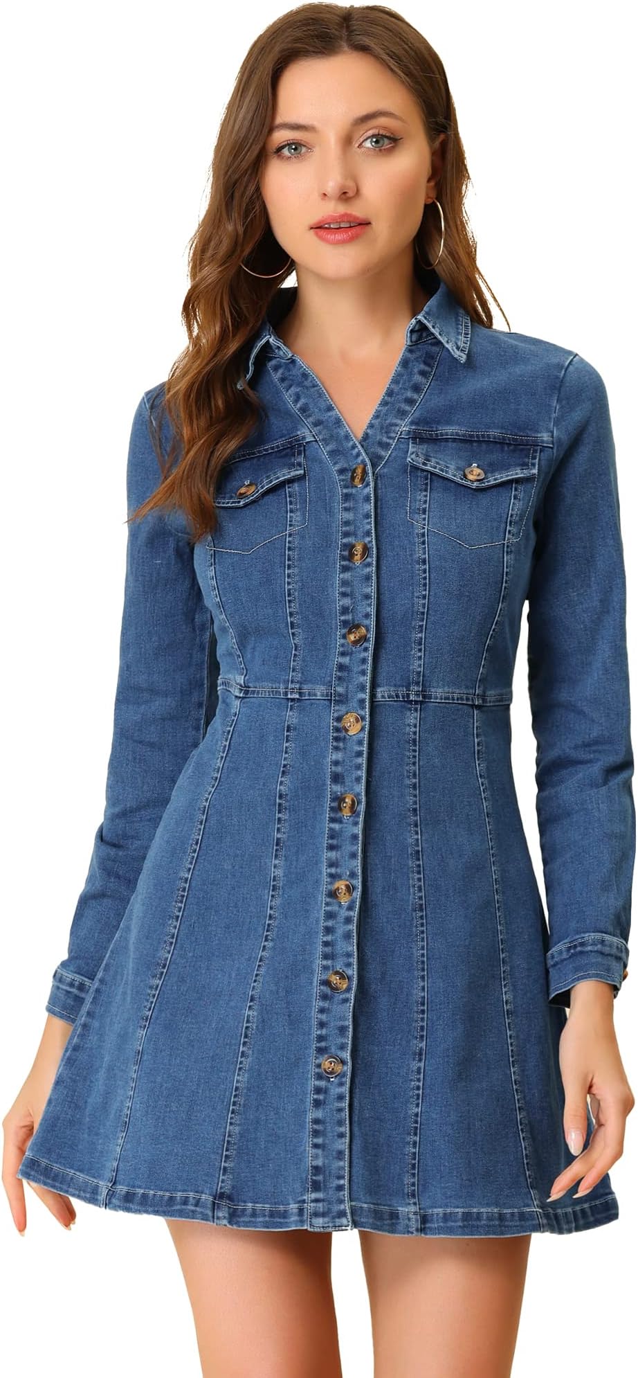 Allegra KWomen's Button Down Collar V Neck Long Sleeve A-line Jean Denim Dress