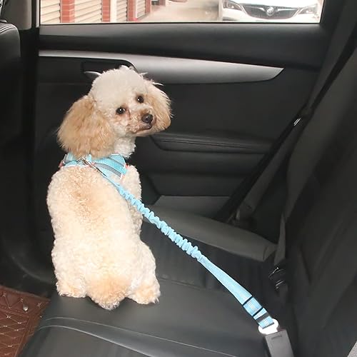 Miniatura 4 de HPETHF Juego de arnés para perros pequeños, correa de malla transpirable ajustable y arnés para cachorros, perros pequeños y medianos. (OB-S)