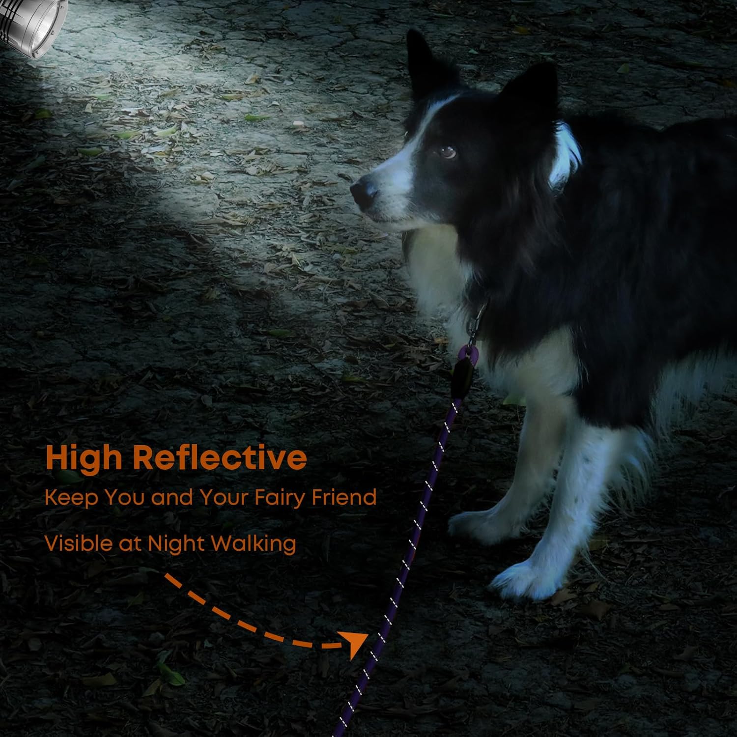 100FT Long Dog Leash for Dog Training, Lockable Hook Reflective Leash, Heavy Duty Dogs Lead Tie Out Rope for Large Medium Small Dogs Outside Walking, Playing, Camping, or Yard