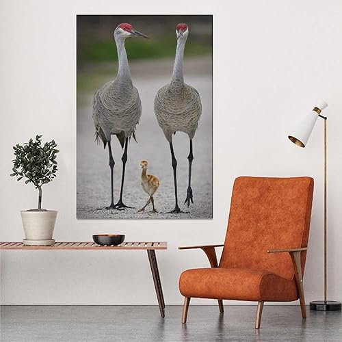 Miniatura 5 de Póster en lienzo con diseño de animales salvajes, grúa y Bdby, decoración de dormitorio, paisaje deportivo, oficina, habitación, regalo, póster de