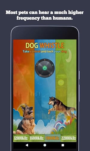 Dog Whistle - Treinador