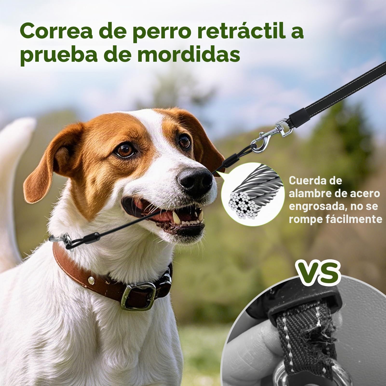 Pecute Correa Perro Extensible/Retráctil 10M, hasta 30KG, Correa Retráctil para Perros Mejorada a Prueba de Mordiscos, Correas con Bandas Reflectantes para los Paseos Diarios del Perro