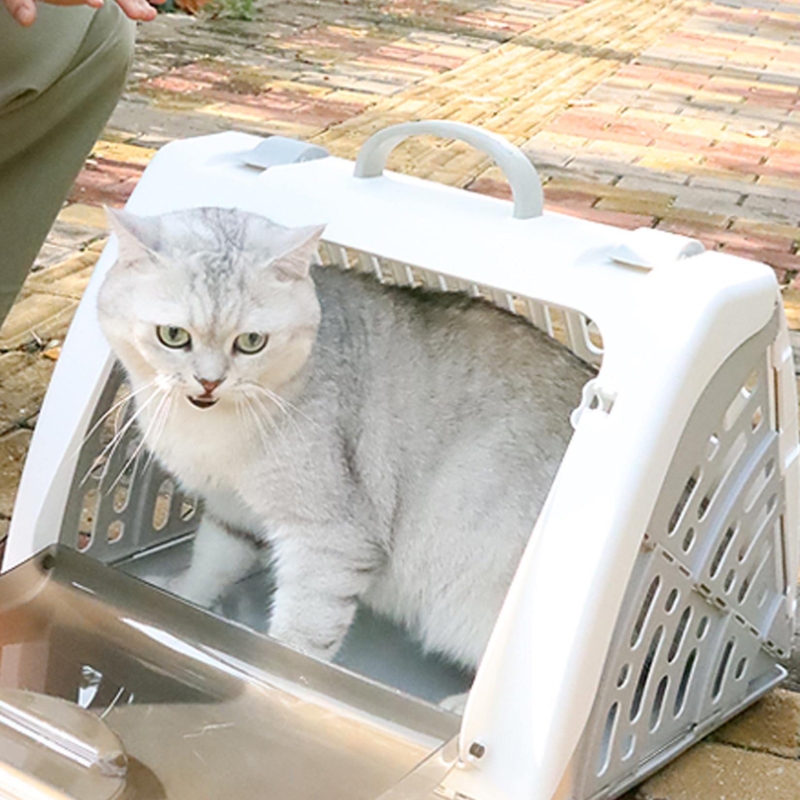 Transportador de plástico Duro y pequeño para Gatos de hasta 25 Libras, transportador de Mascotas para Perros pequeños, transportador de Conejos, cobayas, 17 Pulgadas de Largo x 14 Pulgadas