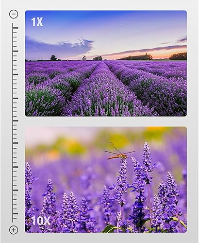 Miniatura 8 de 90x90 High Binoculars for Adults Waterproof Binoculars Telescope for Bird Watching Travel Hunting Football Games Waterproof Binoculars Compact