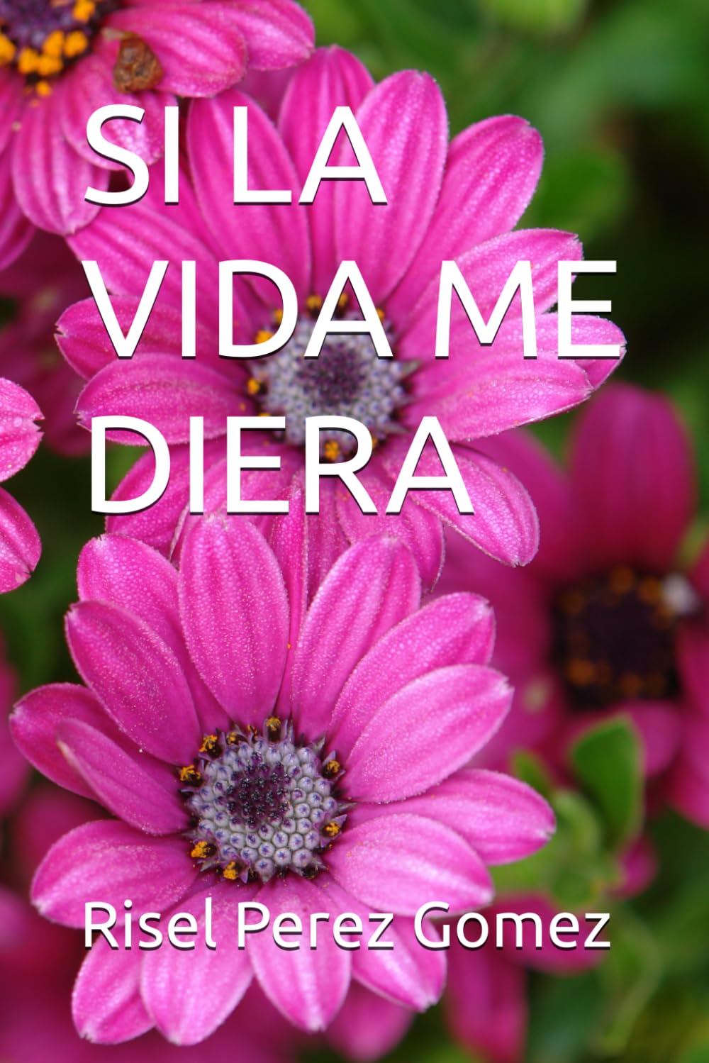 SI LA VIDA ME DIERA
