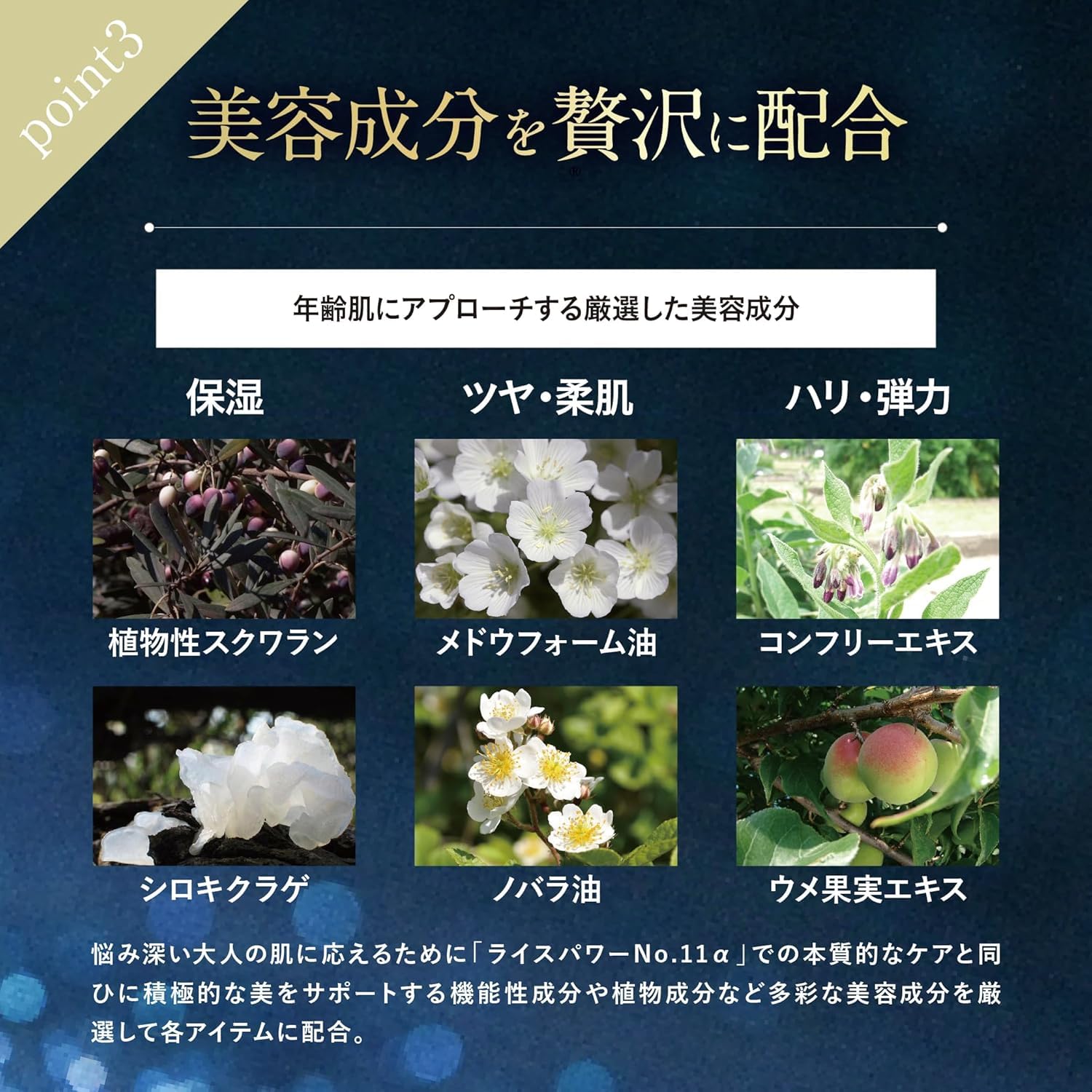 Amazon | ライスフォース 〈プレミアムパーフェクトクリーム〉 30g