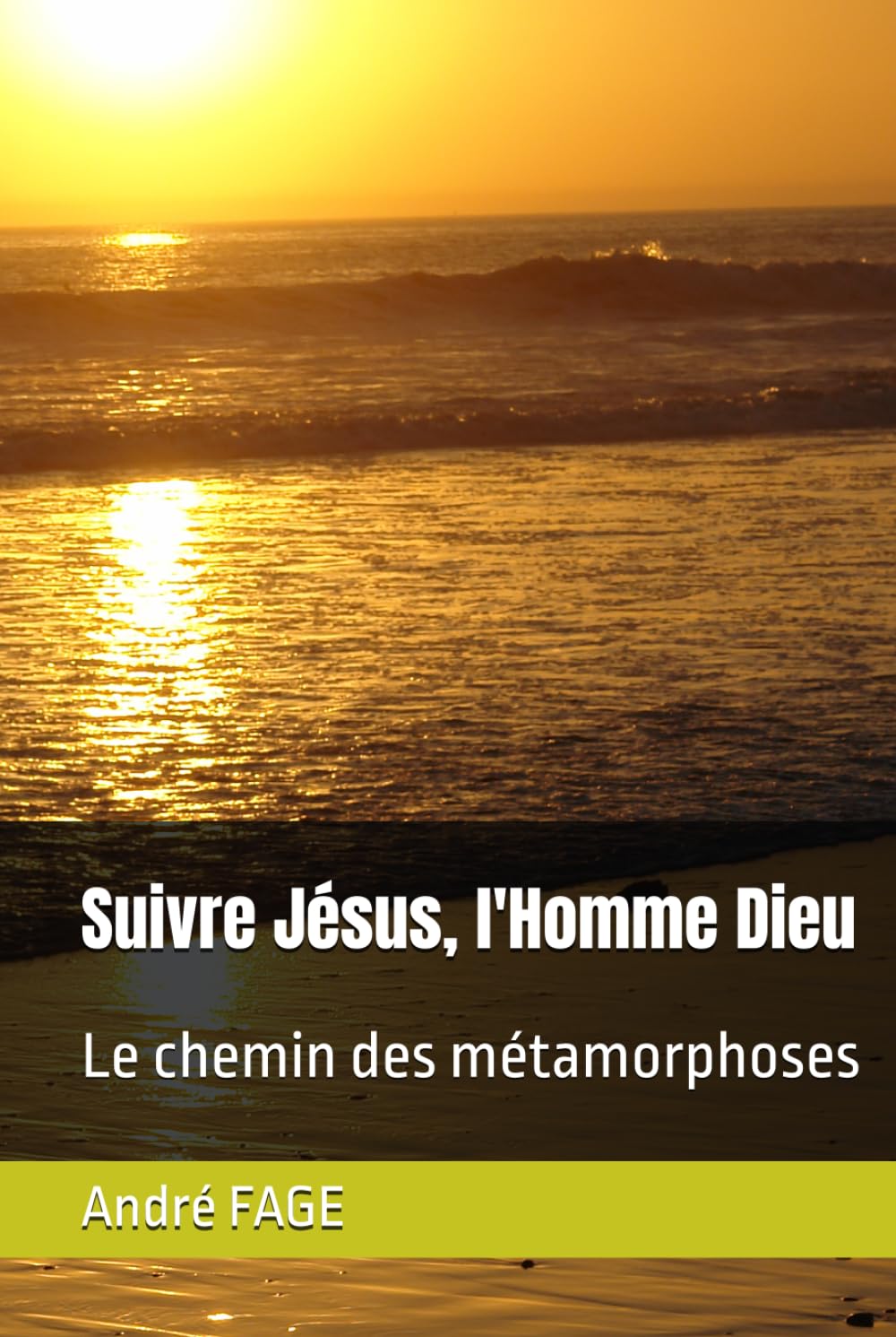 Suivre Jésus, l'Homme Dieu: Le chemin des métamorphoses