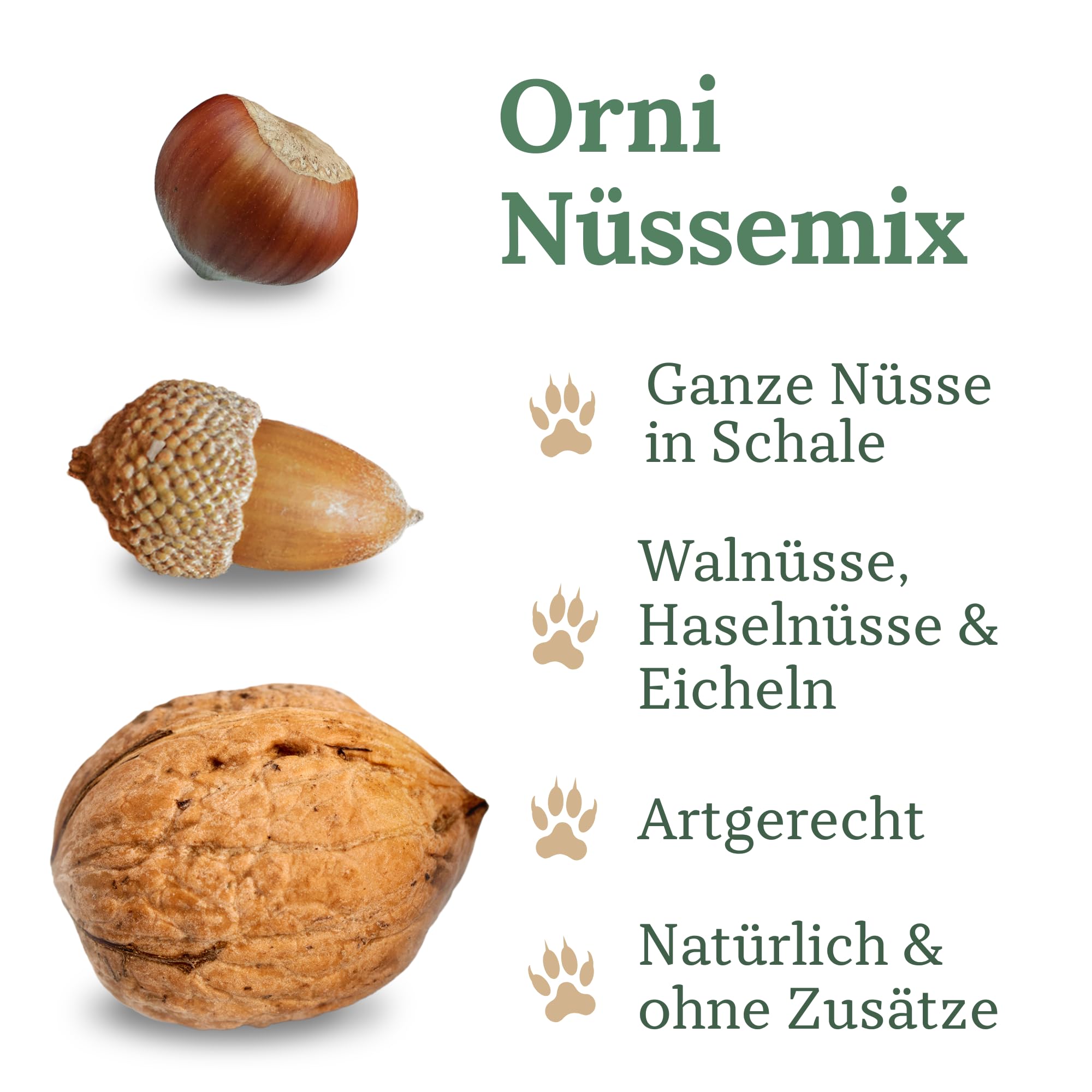Orni Artgerechter Nüsse Mix für Eichhörnchenfutter 1kg | Futter für Eichhörnchen mit Haselnüsse, Walnüsse mit Schale für Eichhörnchen | Ganzjähriges Eichhörnchenfutter
