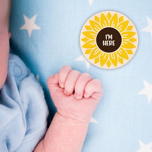 Miniatura 2 de Letreros mensuales de hitos de bebé, discos de madera de animales de la selva para fotos de bebé tomadas con letreros de Hello World  Tarjetas de