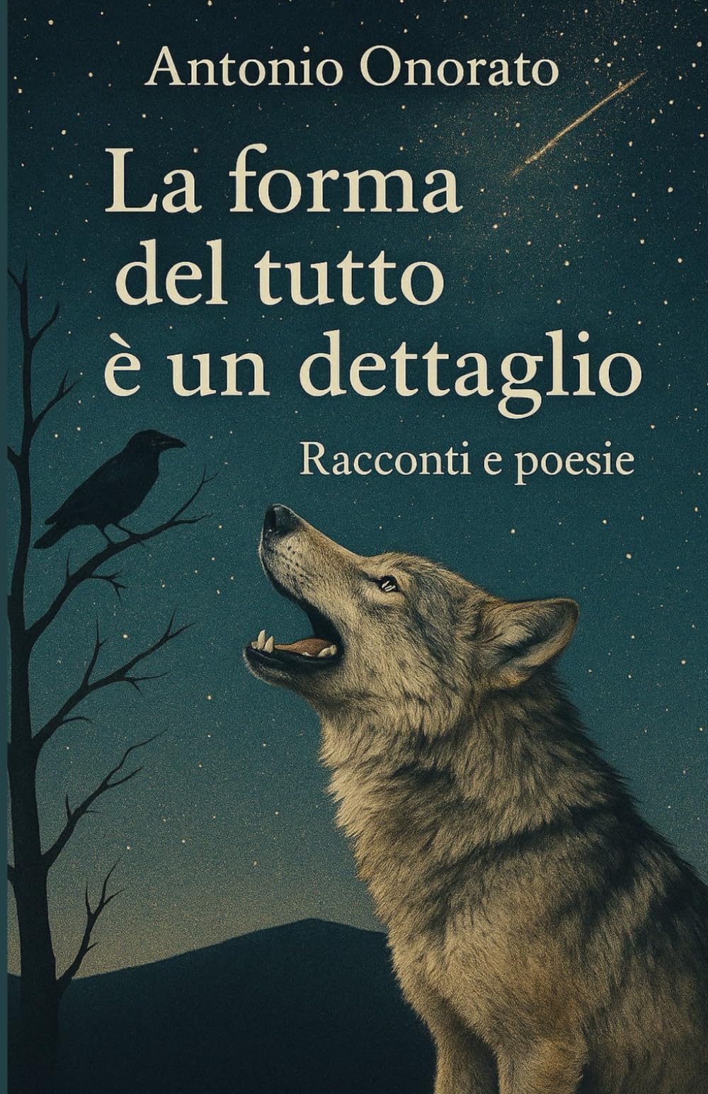 La Forma del Tutto è un Dettaglio: Racconti e poesie