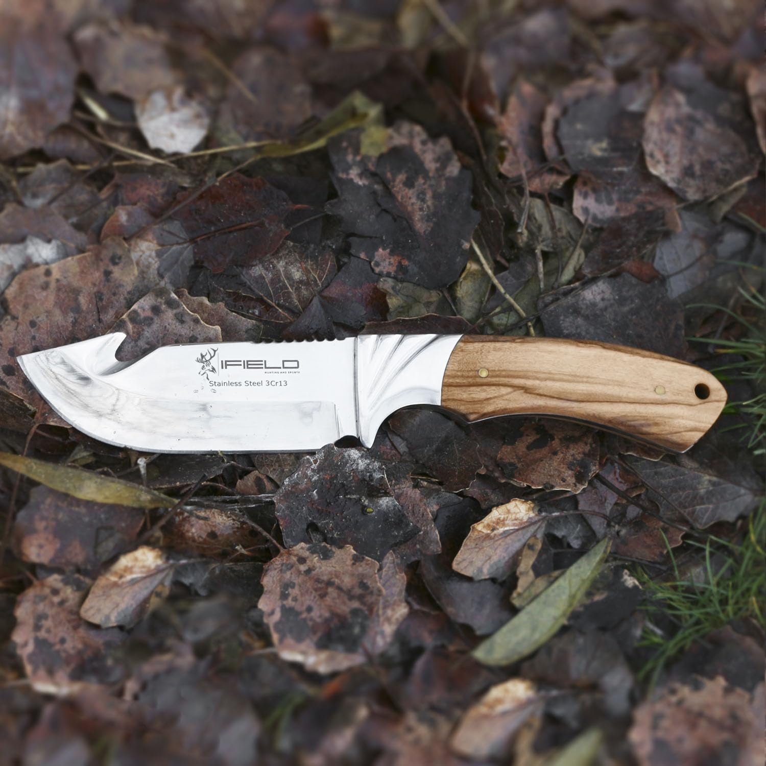 iFIELD EL29010 Coltello multifunzionale per escursioni, caccia e sopravvivenza all'aperto, acciaio inossidabile 3Cr13 con manico in oliva, fodero multiposizione