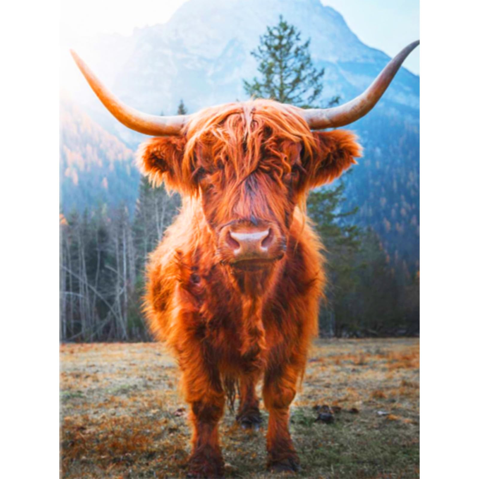 Diamond Painting Kits Animals,Full Drill Diamant Art Sets of Highland Cow,Embroidery Cross Stitch Craft Painting Pictures,Animals and Mountains Diamond Painting by Numbers,30x40 cm