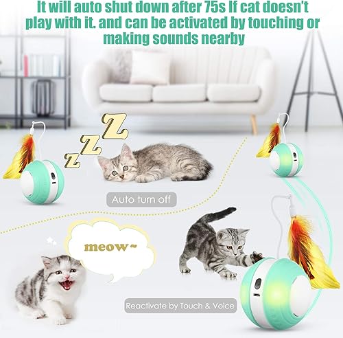 Miniatura 6 de Rueda de juguetes con sonido  Pelota de juguete para cachorros de interior  USB cargable