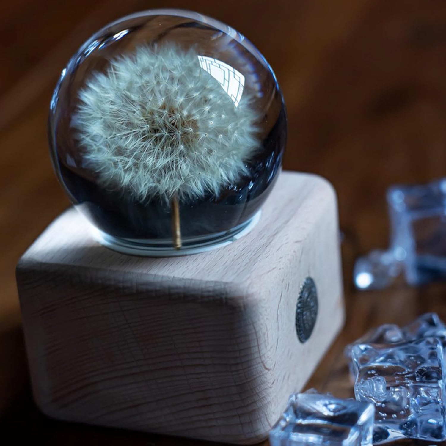 Luxshiny Dandelion Musical Crystal Ball Music Box with Wooden Base, Small Square Preserved Flower Decor for Birthday, Decorative Glass Ornament for Home Display