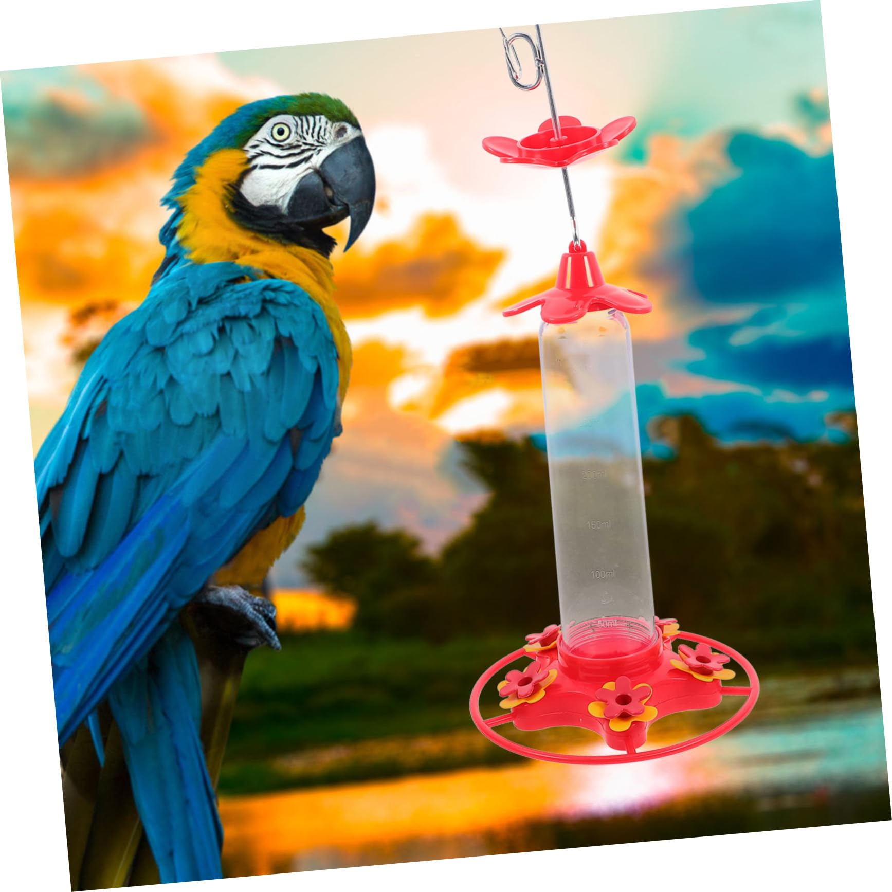2pezzi Mangiatoia per Colibrì Sospesa Mangiatoia Decorativa per Uccelli Contenitore per Cibo per Uccelli da Giardino