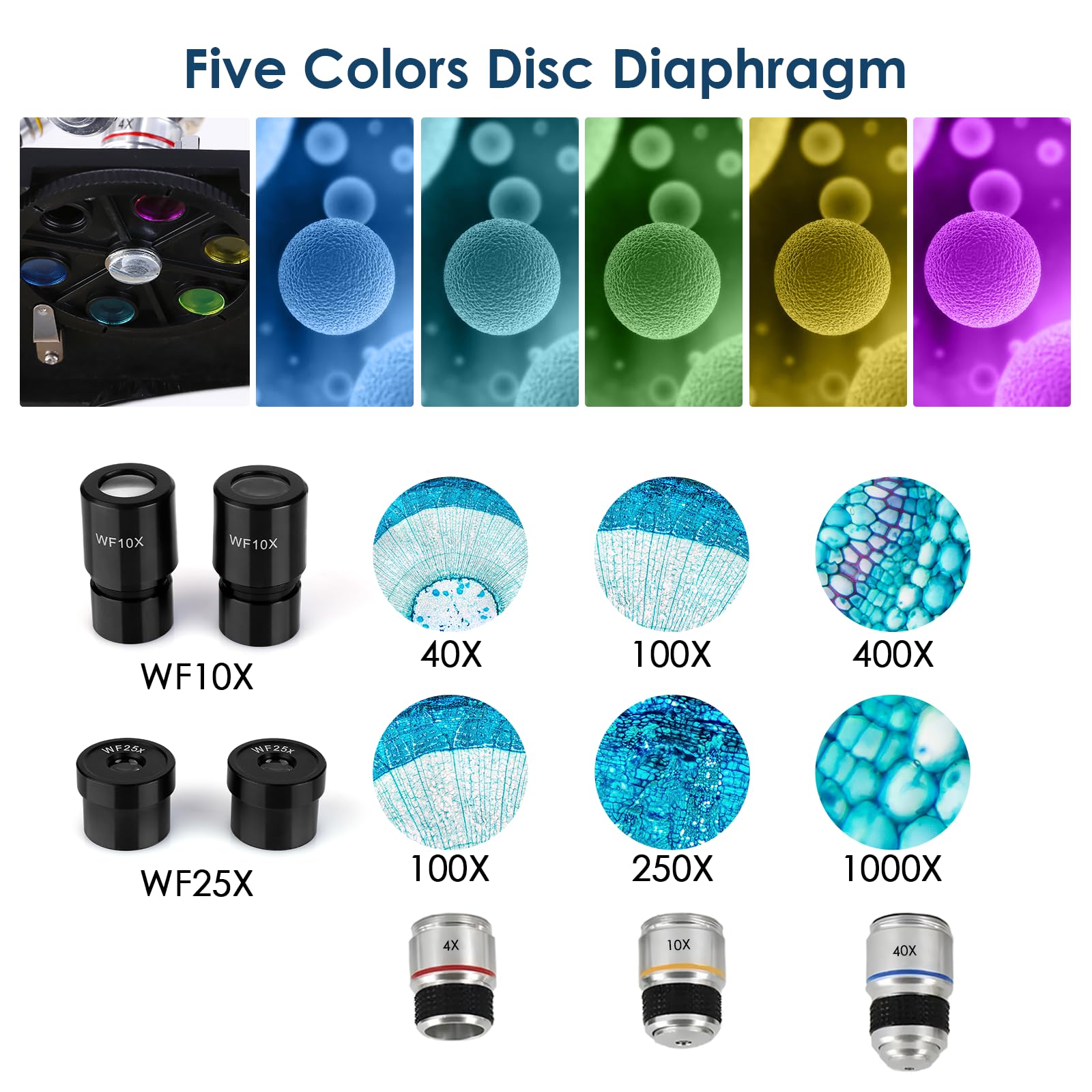 Cowiewie Microscopio Binoculare professionale a trasmissione e riflessione 40X-1000X per luce incidente e trasmessa, con oculare e illuminazione a LED, microscopio per studenti con vetrini