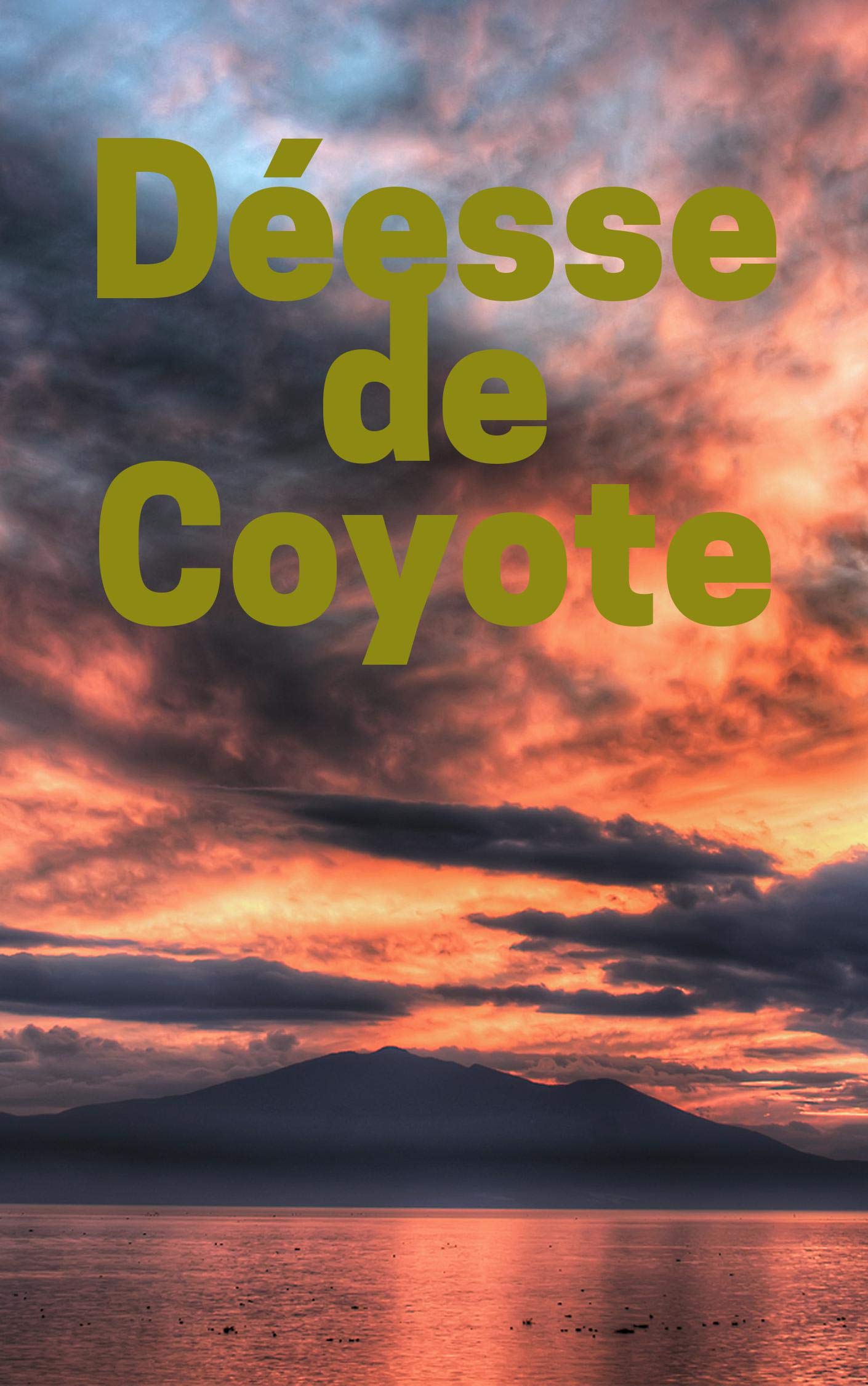 DÈesse de Coyote (French Edition)