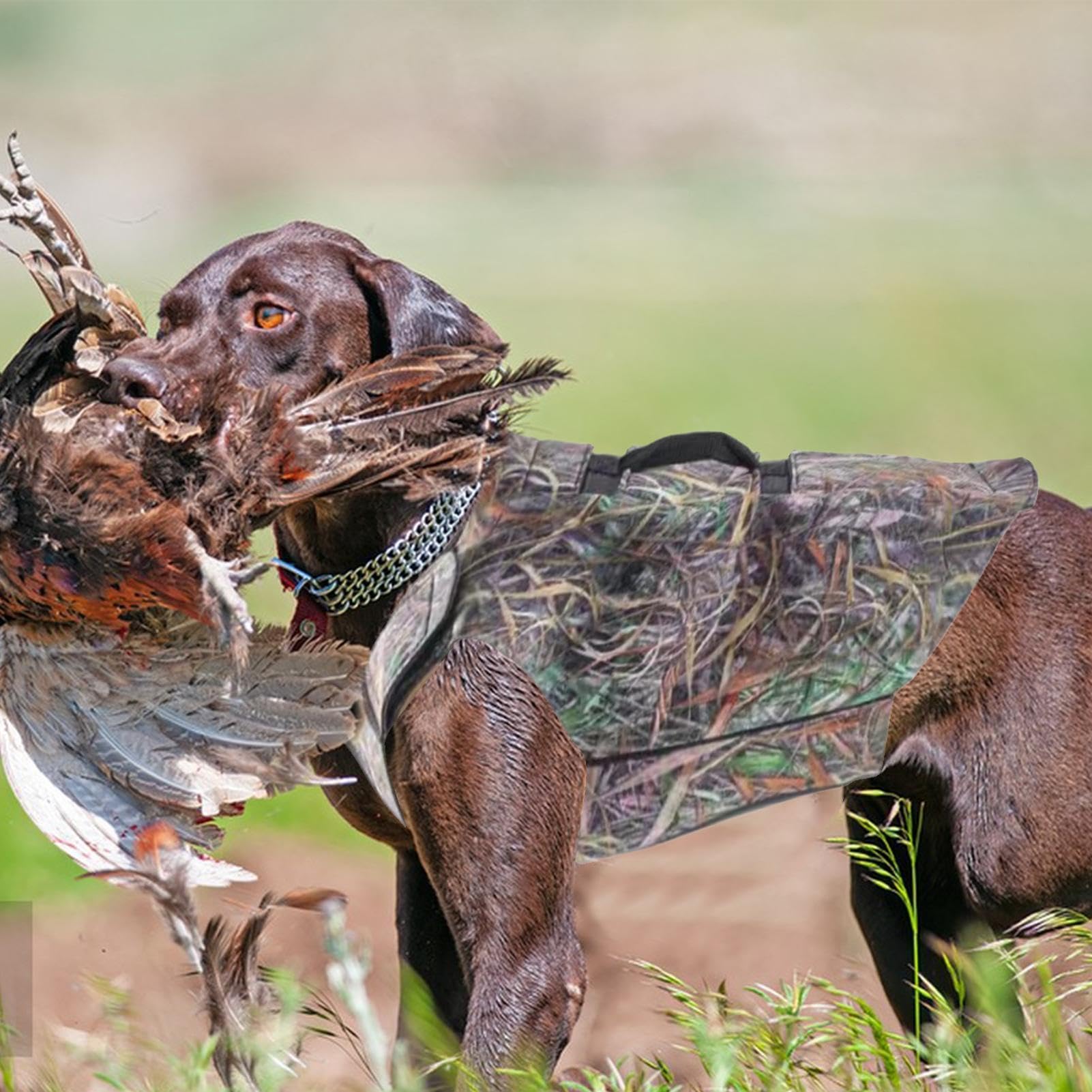 Gilet De Chasse pour Chien, Respirant Gilet De Sécurité en Néoprène pour Chien avec Poignée, Réglable Grands Chiens Sécurité Harnais Vestes pour Extérieur, Randonnée, Camping