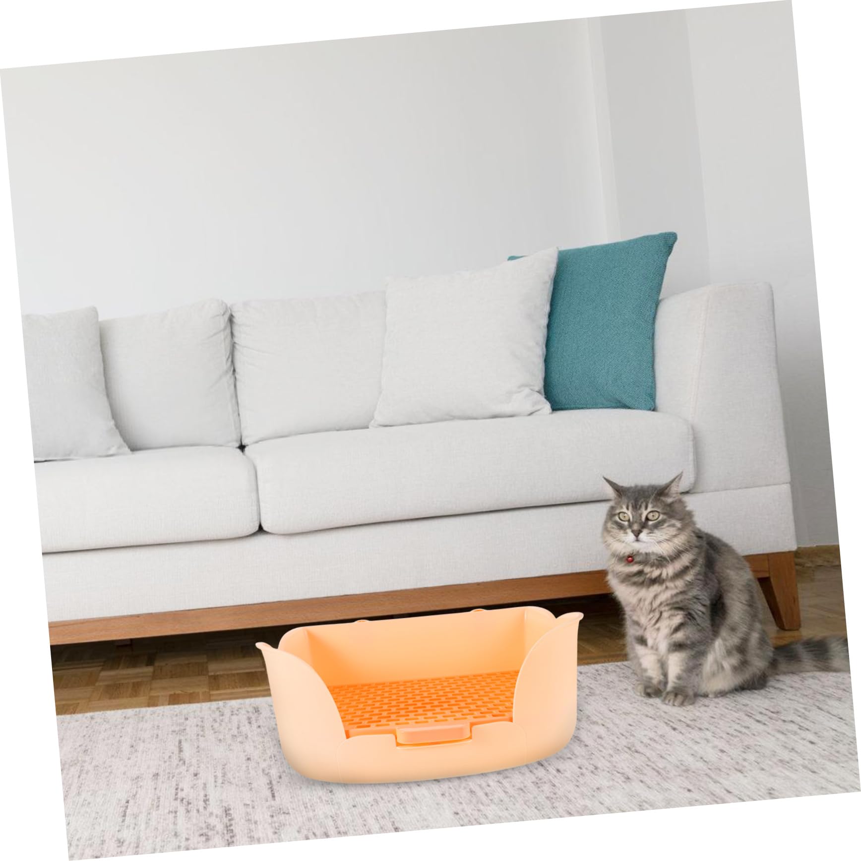 Lettiera per Conigli Piccola in Plastica Lettiera Vassoio per Furetti E Cincillà Lettiere per Animali Domestici Trasportino