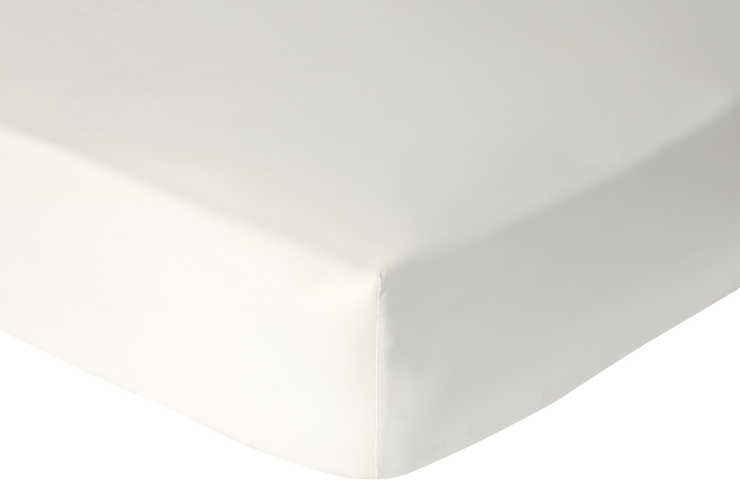 Julian Charles Mayfair Cream 300 Thread Count 100% Egyptian Cotton Fitted Sheet