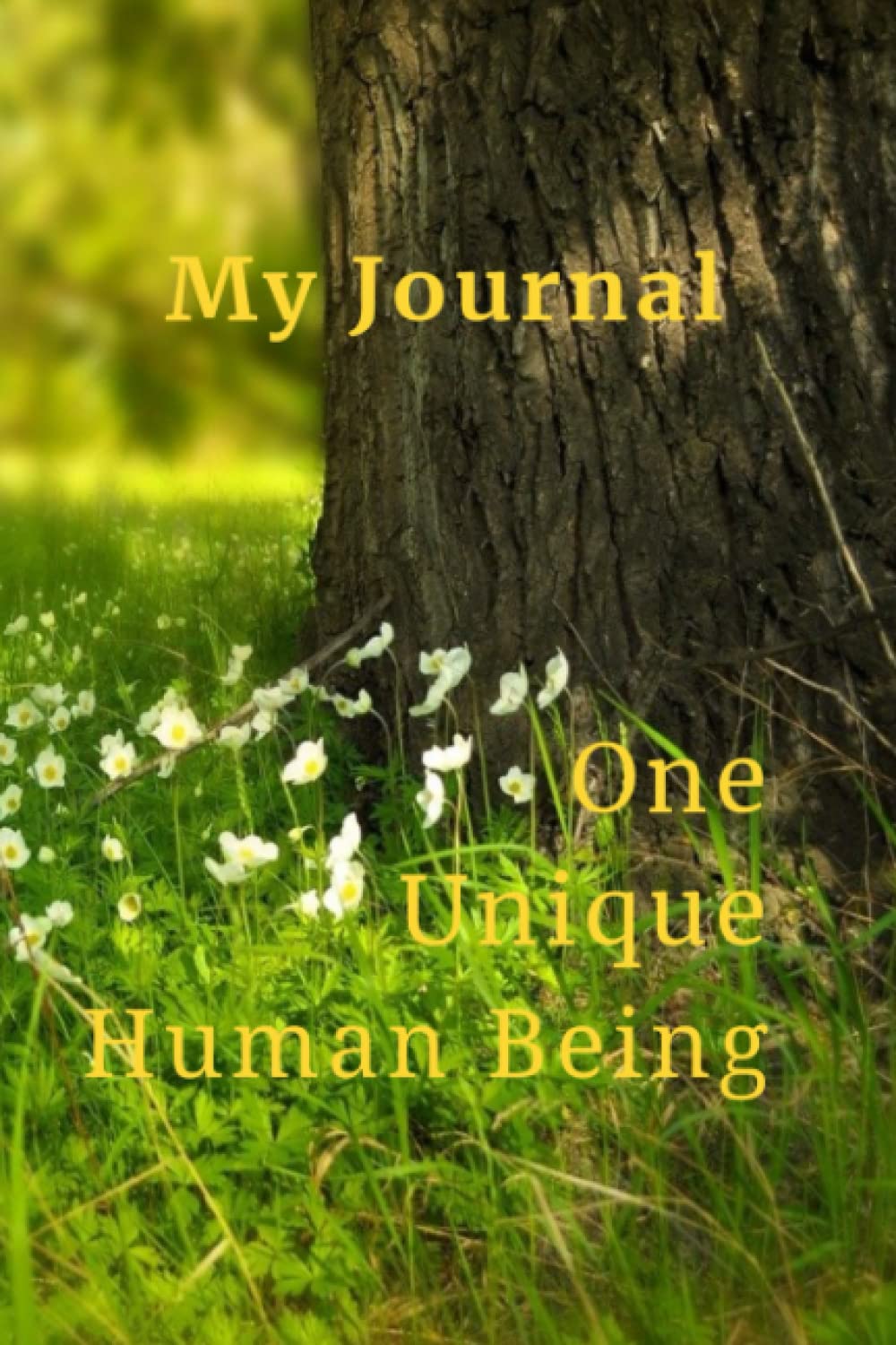 My Journal