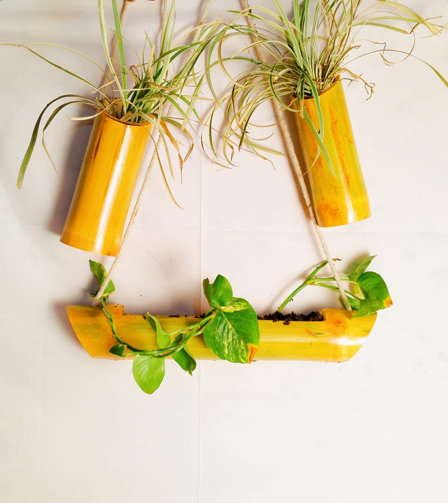 WATIKA CRAFT Wall Hanging Bamboo pots for Plants, Natural Bamboo Planter. Hanging pots for Plants Indoor, Hanging pots for Plants Balcony (Vartical Planter Set of 3) (B0C4P3GQZQ) Amazon Price History, Amazon Price Tracker