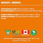 PlantVital Vitamin C - Made in Canada - 1000mg Vegan Capsules - Vit C Supplements helps support immune system, collagen & connective tissue formation, maintenance of bones, teeth & gums - 120 Capsules
