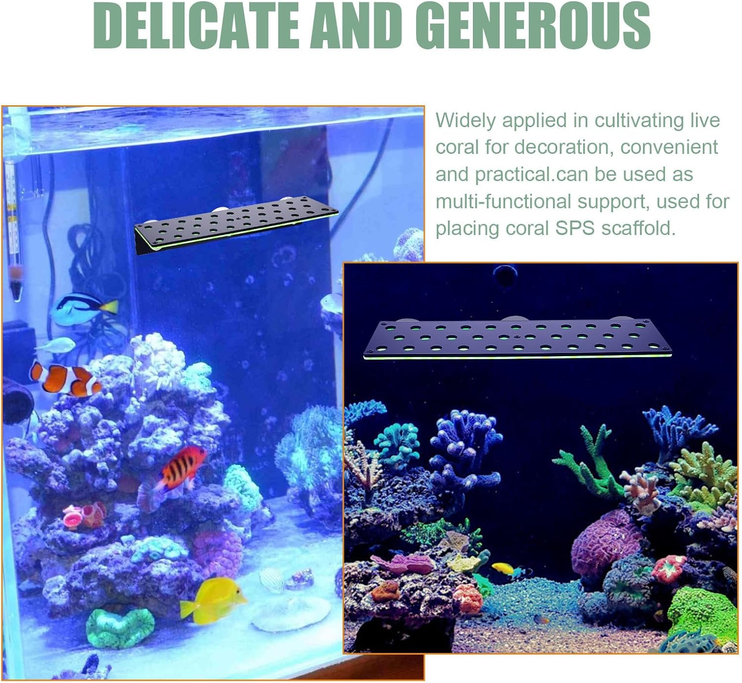 YARNOW Fluorescent Green 32-Hole Double-Layer Wear-Resistant Acrylic Coral Rack Frag Holder for Aquarium Supply, Fluorescent Soft Coral Breeding Stand, Marine Reef Decor for Saltwater