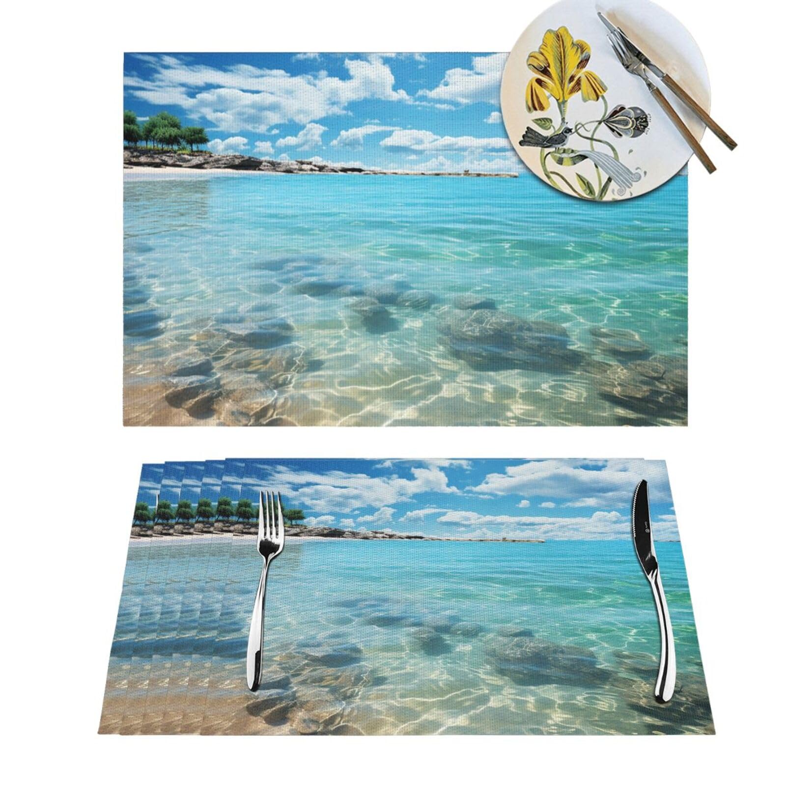 Sets de table en vinyle PVC tissé lavables - Lot de 6