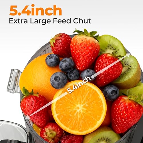 Miniatura 2 de Exprimidor de prensa en frío, máquina exprimidora de canal de alimentación de 5.4 pulgadas de ancho, exprimidor de masticación lenta para verduras y