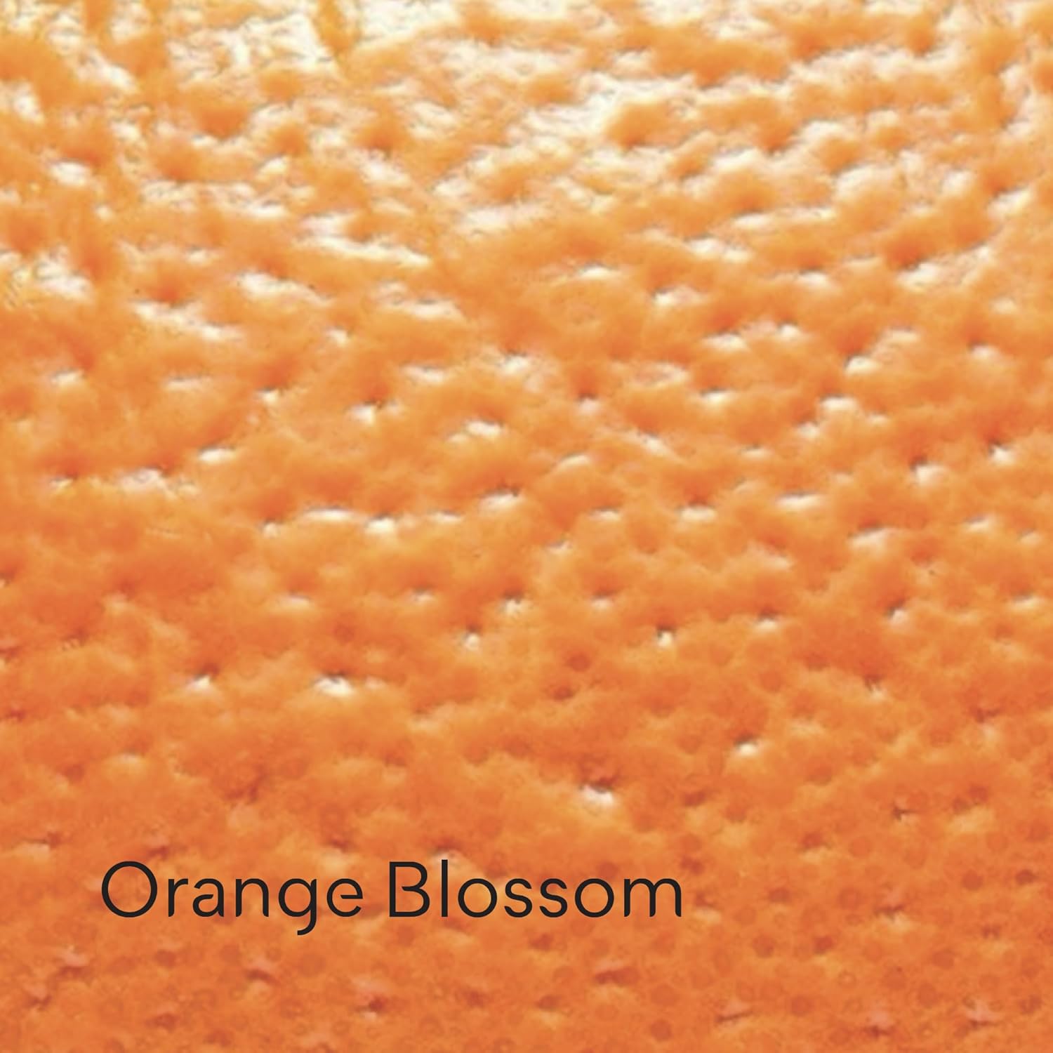 Paris - Creamy Shower Gel, 33.8 Fl Oz (Orange Scent) - Image 6