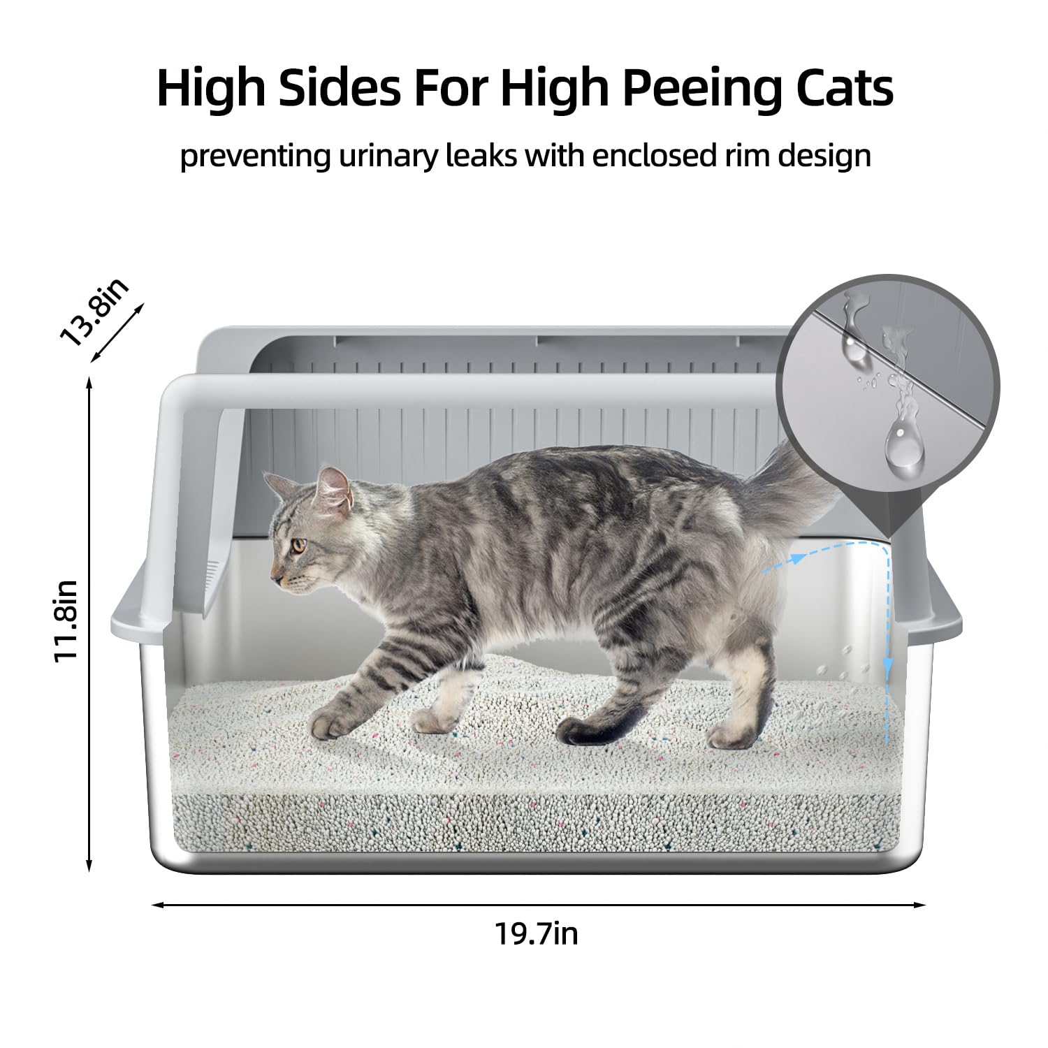 best litter box for cats who miss NVR Miss Litterbox - Knoxville, TN