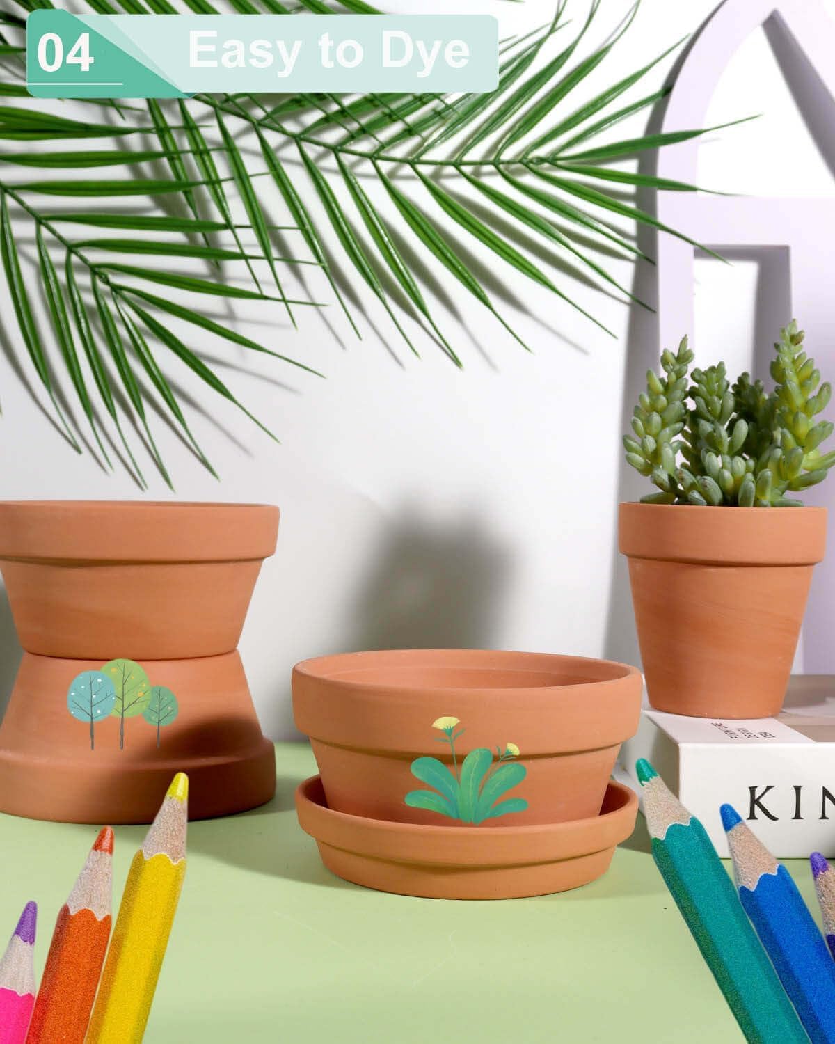 vensovo 5.7 Inch Terracotta Shallow Succulent Pot - 6 Pack Terra Cotta Clay Pots with Saucer, Cacuts Terra-Cotta Indoor and Outdoor Planters with Drainage Hole