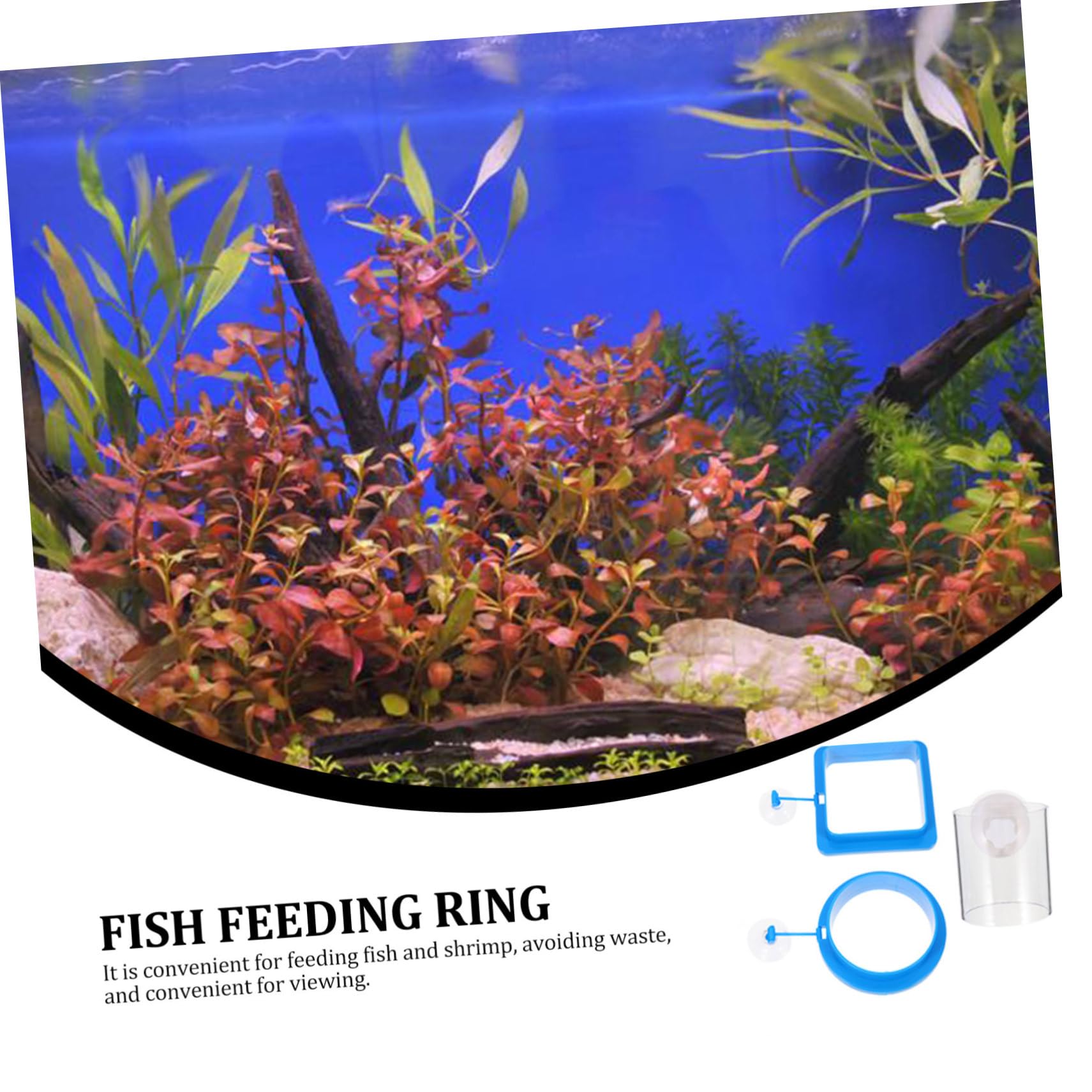 Yardwe 12stücke Teiliges Schwimmender Futterringe Für Aquarien Fischfutterspender Für Süß Und Salzwasser Installieren Mit Stabiler Saugnapfhalterung Für Tropische Fische Und