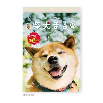 【1月25日までの出品】柴犬 ロイカナ Wan 2025年1月号＜冬号＞ 12/13発売 株式会社 緑書房