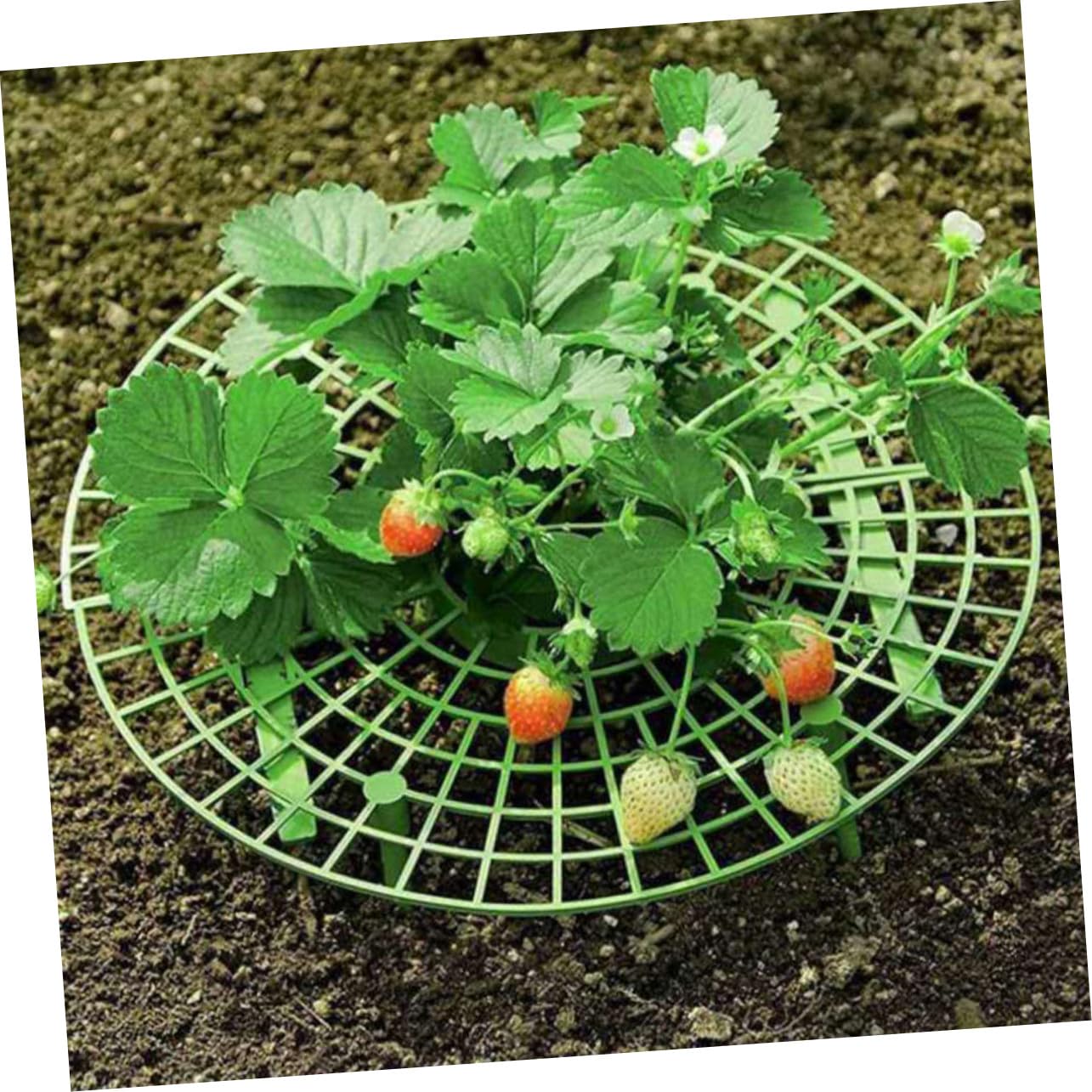 Support à Fraisiers en Plastique Vert 12pcs Cadre d'escalade Créatif pour Balcon Jardin Potager Protection et Maintien des Plants de Fraisiers