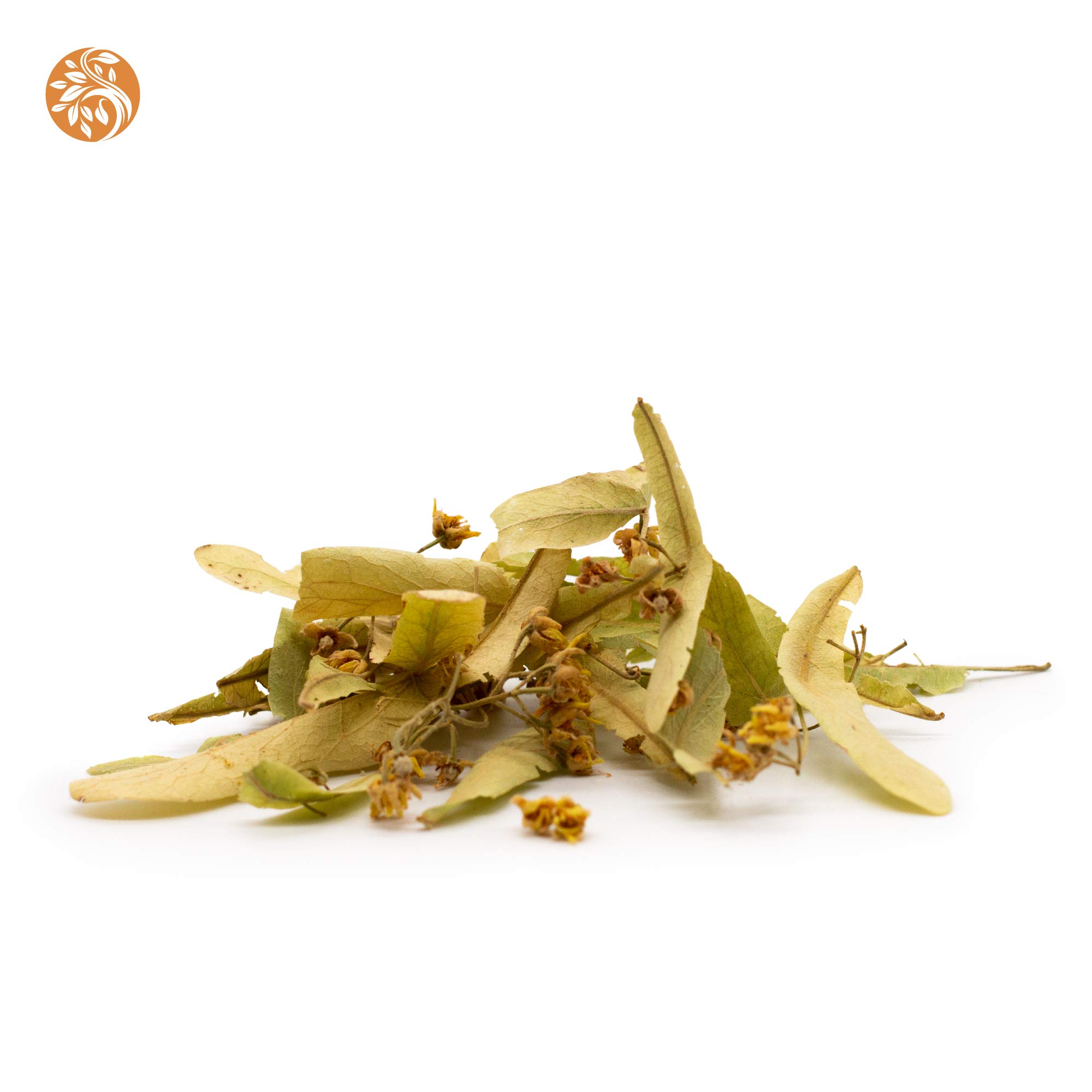Linwei Li　カルメン農園23本セット Amazon.com : Tilia cordata (Littleleaf Linden) Tree Seeds