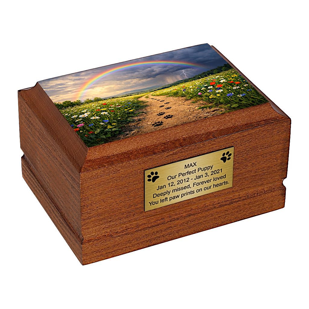 Dog Cremation Urn for Pet Ashes, Wooden Memorial with Rainbow and Paw Prints Design for Loving Remembrance