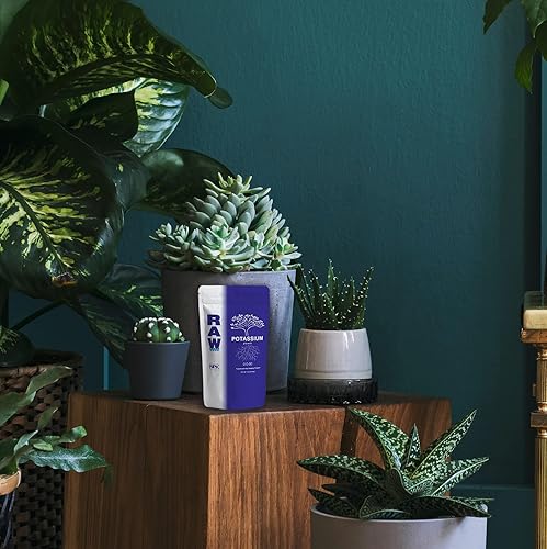 Miniatura 8 de RAW Potasio 2 lb