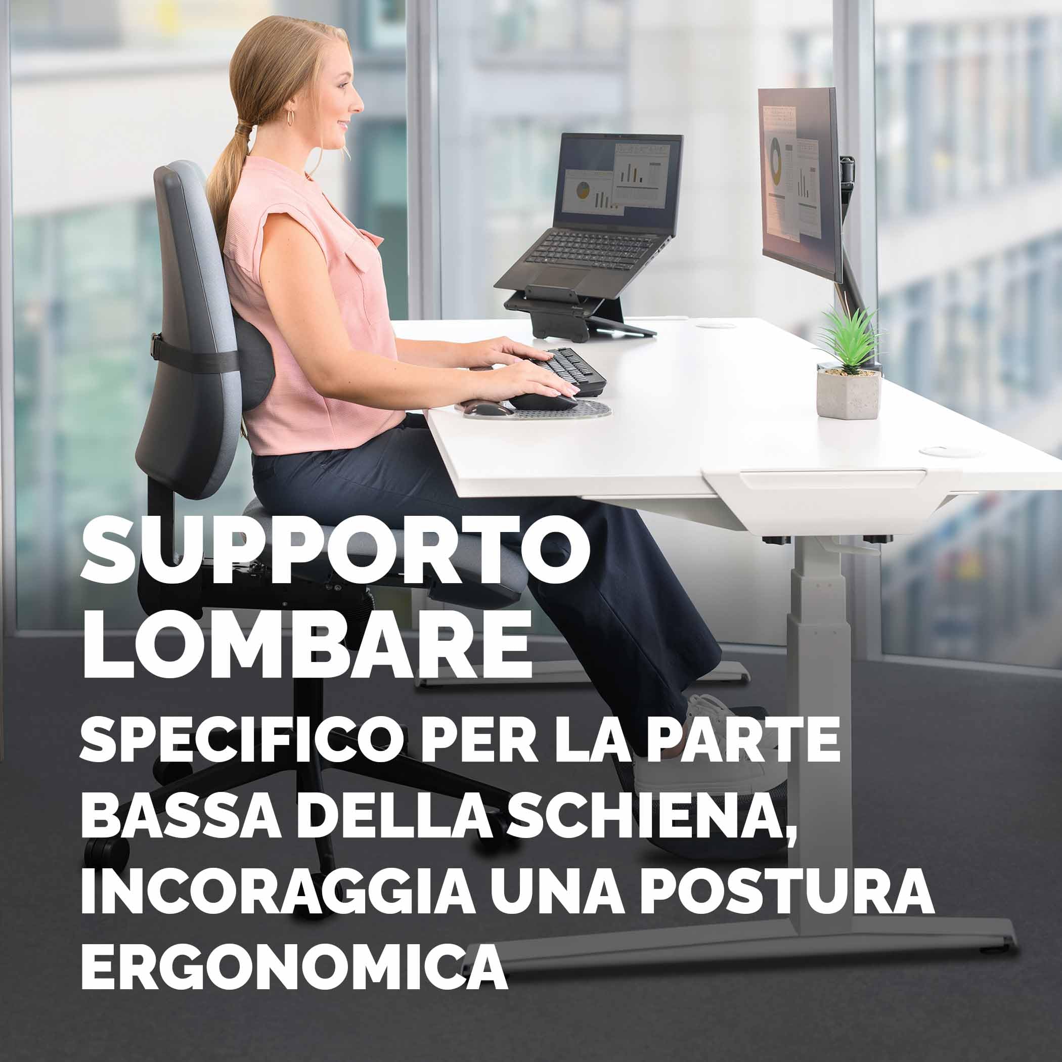 Fellowes Cuscino lombare Breyta - Supporto ergonomico per la schiena, cinghia regolabile, compatto e portatile, da materiale riciclato, garanzia di 5 anni, ideale per l'ufficio e la casa