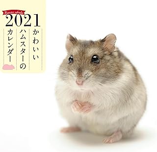2021年 ミニ判カレンダー かわいいハムスターのカレンダー (誠文堂新光社カレンダー)