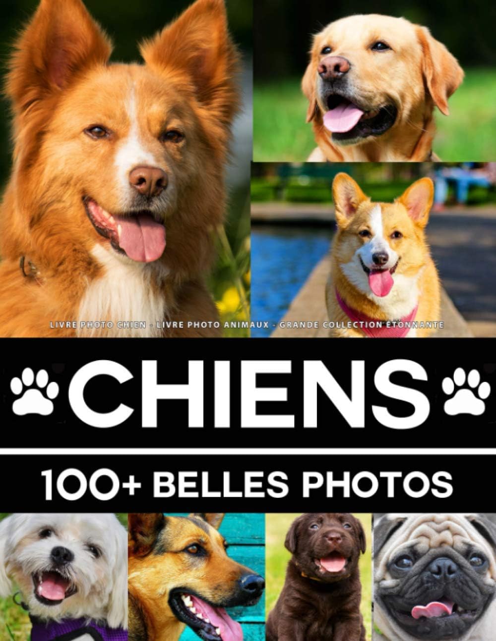 Livre Photo Chien - Livre Photo Animaux - Grande Collection Étonnante: 100 Belles Photos Dans Ce Fantastique Livre De Chiens - Pour Enfants Et Adultes