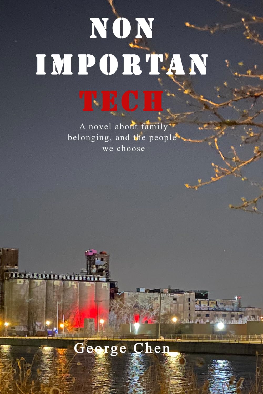 Nonimportantech: A novel about family, belonging, and the people we choose
