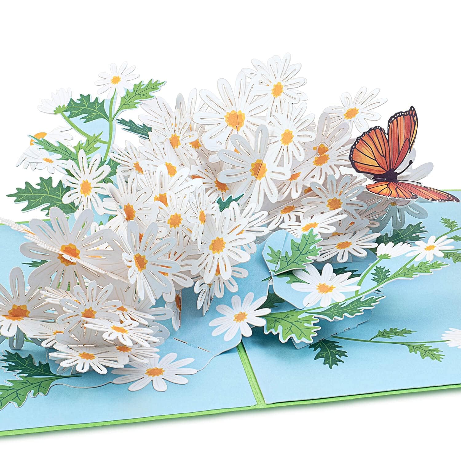 papercrush® Kartka pop up Stokrotki i motyl - Kartka urodzinowa 3D dla kobiet (mama, dziewczyna, babcia), kartka powodzenia, karta szybkiego powrotu do zdrowia, kartka z podziękowaniami lub emeryturą