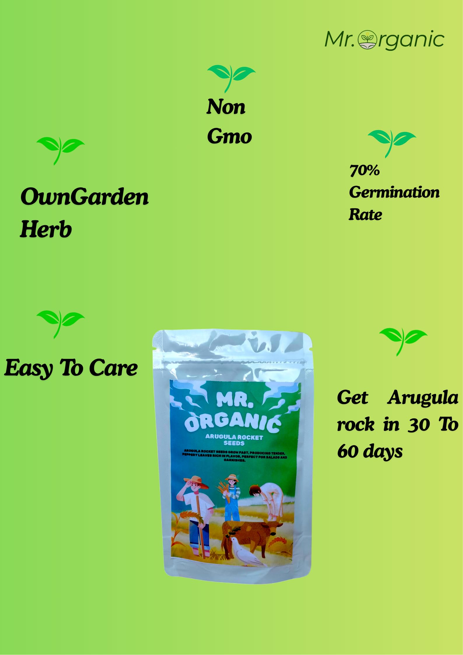 Rocket Arugula Seeds - Grow Your Own! -3 Rocket Arugula Seeds - Grow Your Own! -3